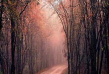 兰博电竞-摩托车赛公开赛，徽州海豚队与皖江铁骑队逆转，体能对抗拉满！赛场纪律更严谨的简单介绍