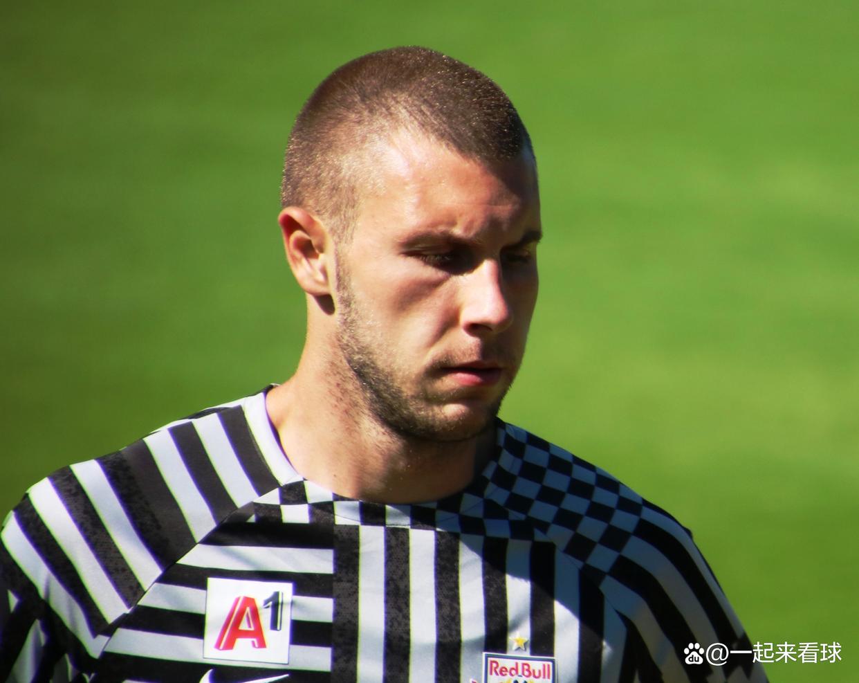 包含塞尔维亚队前途光明！，哈兰德新星败北表现突出全场沸腾不已的词条