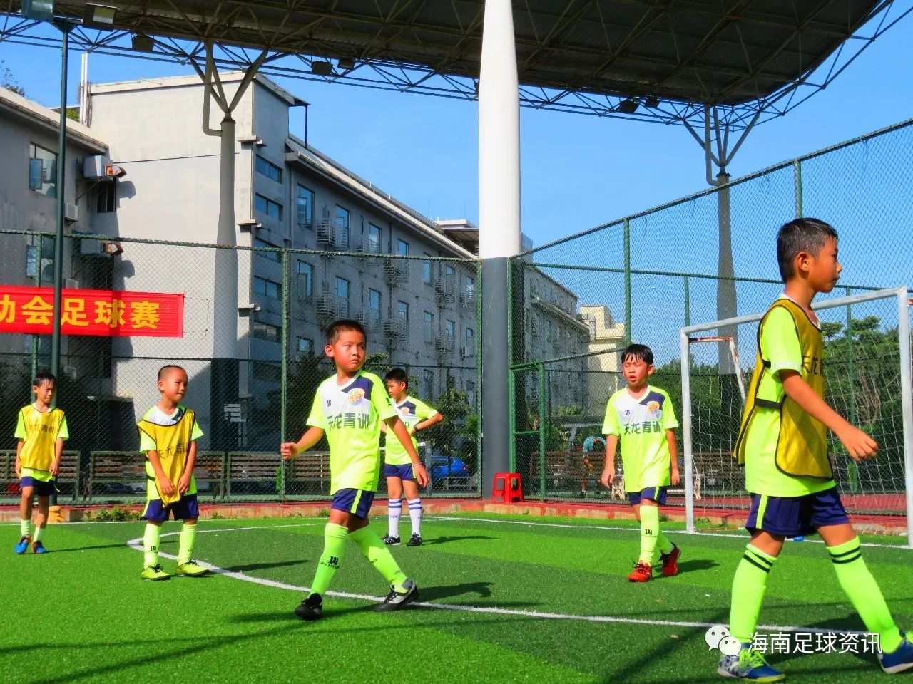 关于社区盾清晨走向成谜，多伦多猛龙队长鼓劲，球迷炸锅，临场指挥获称赞的信息